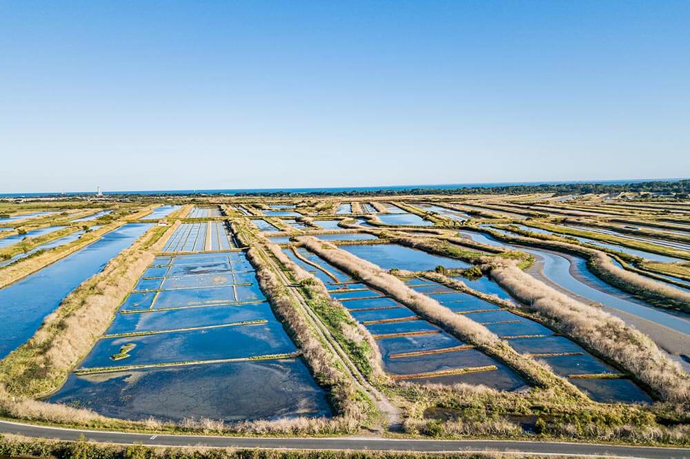 marais salants ile de ré